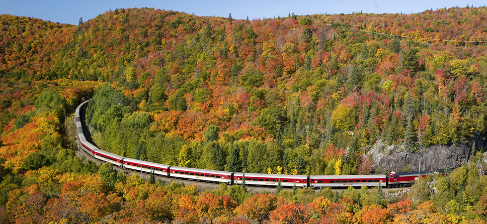 Newfoundland