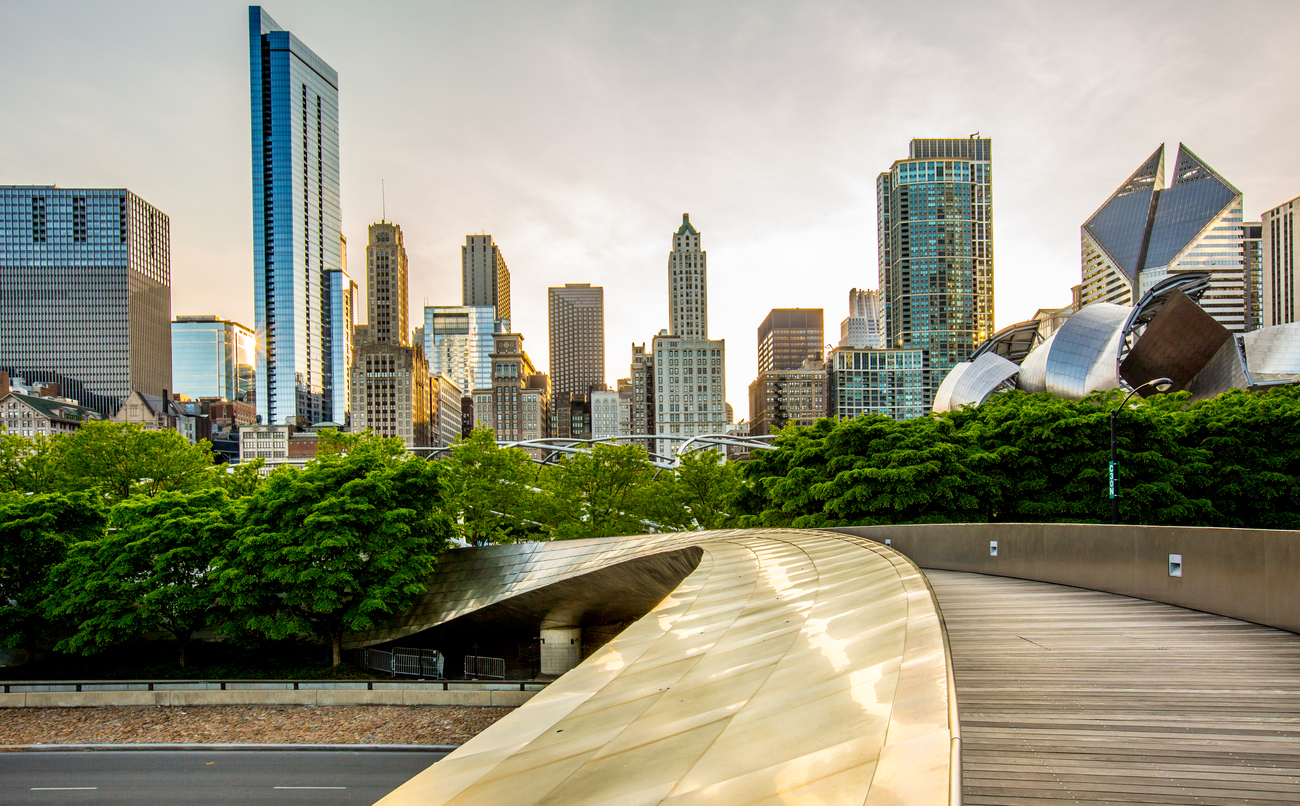 Downtown Chicago view from the Park