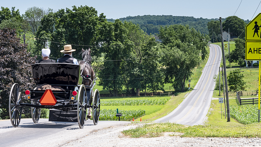 Amish Horse and Buggy