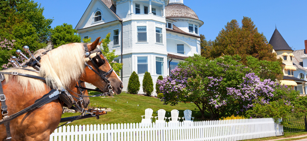 Lilacs Mackinac