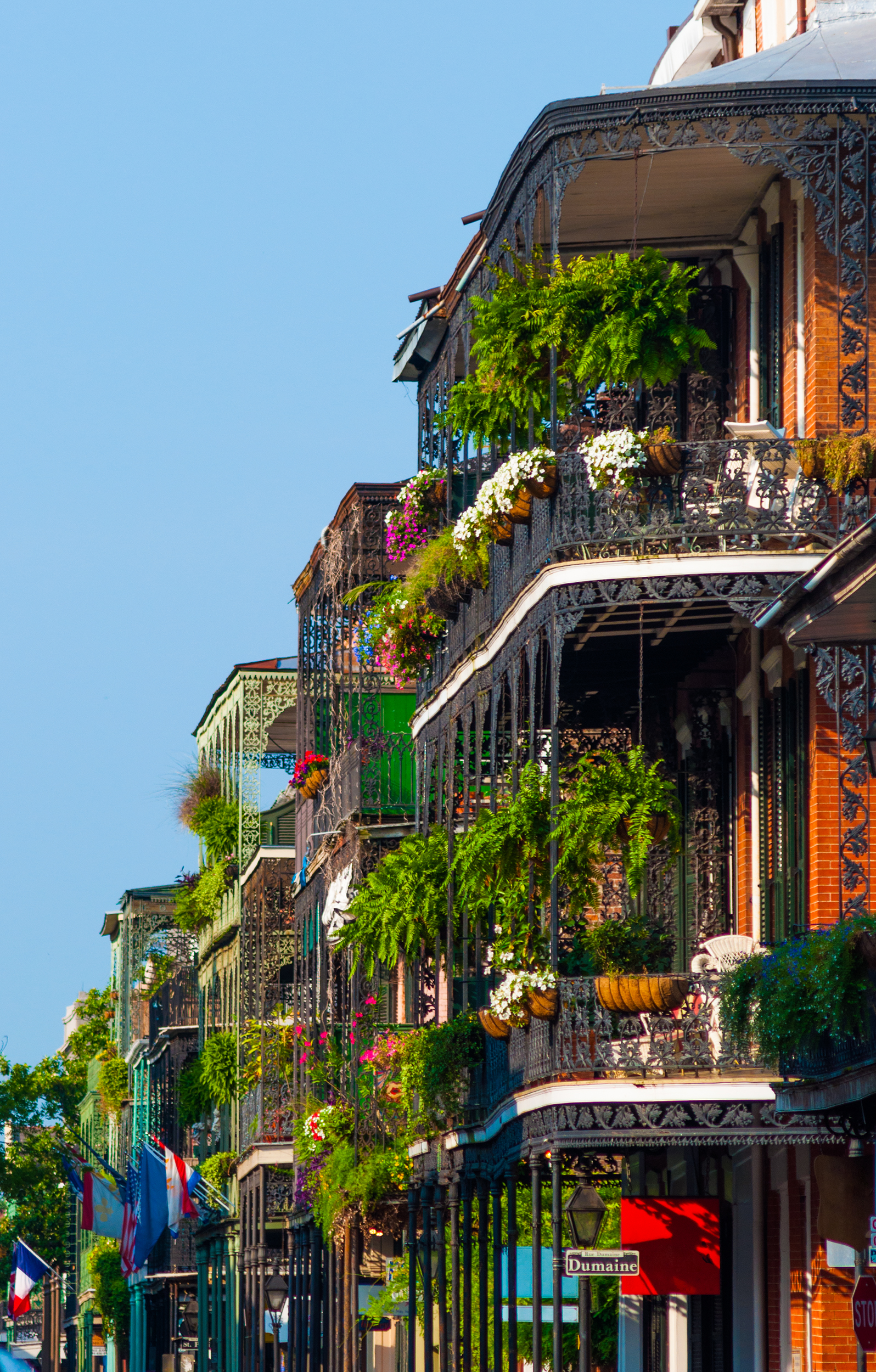French Quarter Buildings with Garden Terraces