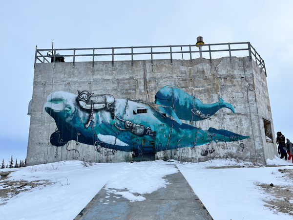 Mural 2-600x450-2501fcc