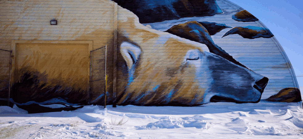 Polar Bear Holding Facility R0001848 1-1200x800-9b9f185